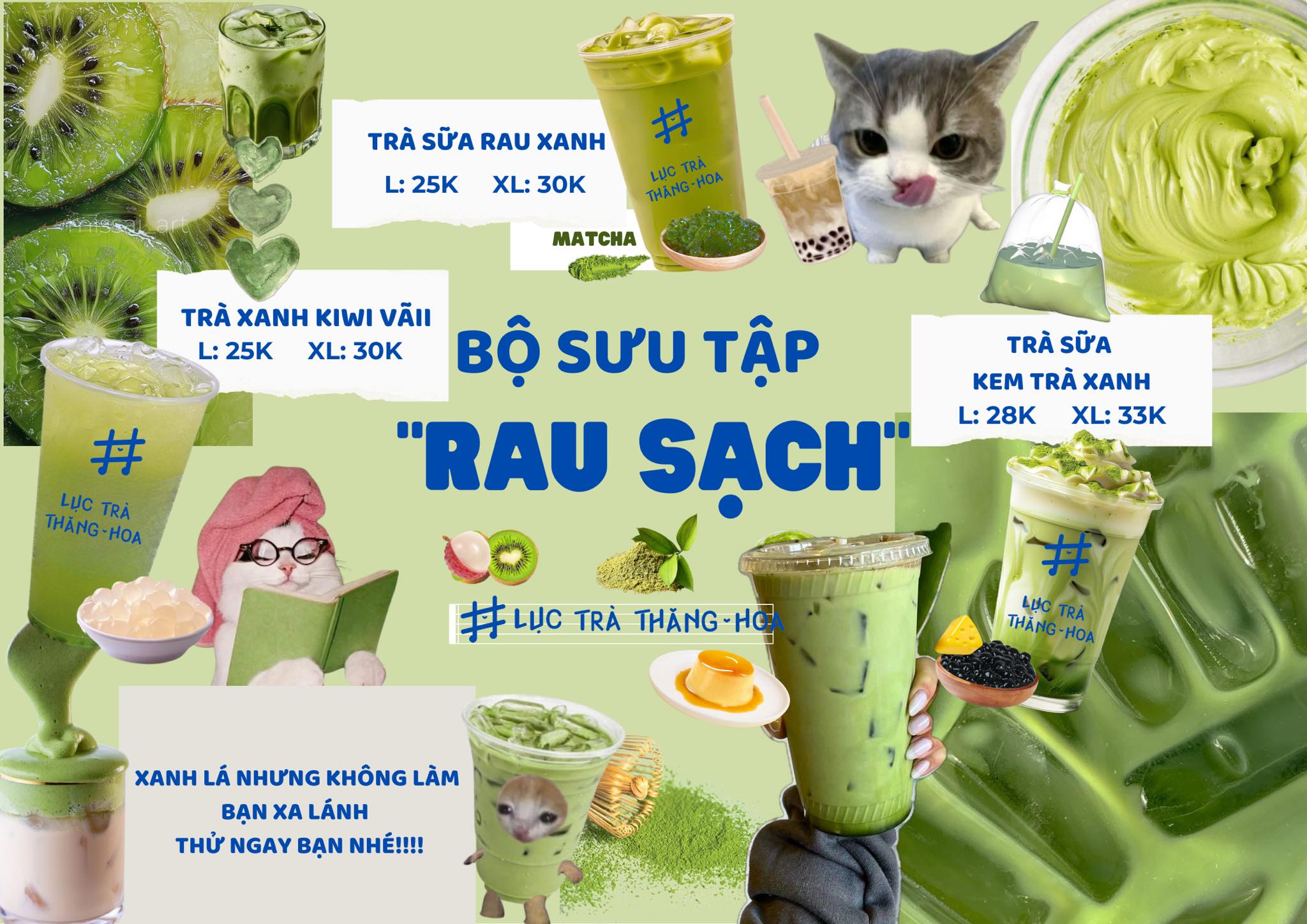 Story oa 10